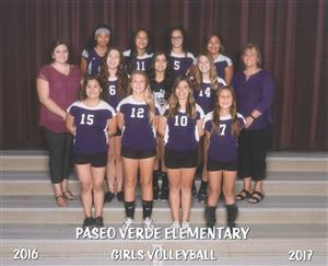 Girls Volleyball 2016-17